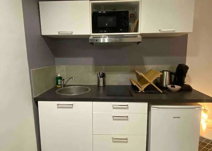 V1 Lumineux Plein Centre - 5 Min Golfech Valence (Tarn-et-Garonne)